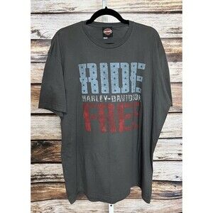 HARLEY DAVIDSON Chimney Rock NC Tshirt Size 2XL Ride Free Gray
